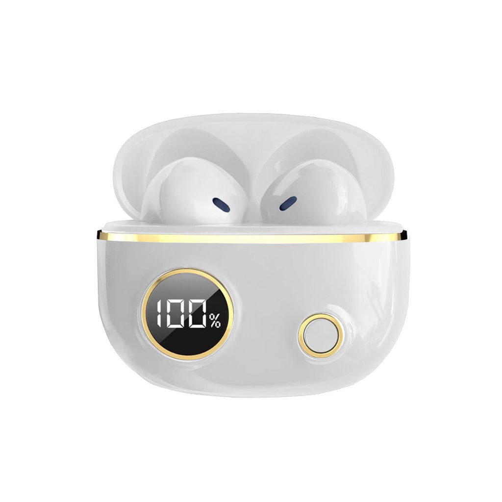 Fancy High Definition Earbuds